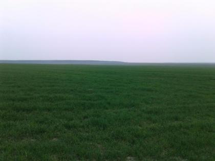 Bauernhof Ukraine, Oblast Zhytomir, Region Malchin