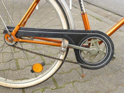 (13) 3 Gang Rücktrittsbremse LUXUS SPORT 2021 26 Zoll Rh 56