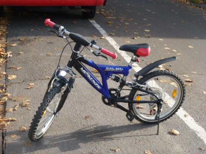 (99) 6 Gang 20 Zoll Gabel u Sattel gefedert MC-KENZIE Rh 33