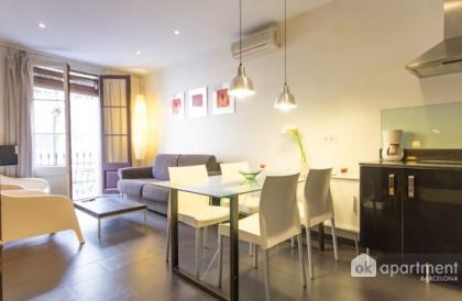 OK Apartment Barcelona Ferienwohnung in der Nähe von Plaza España mit Internet Z