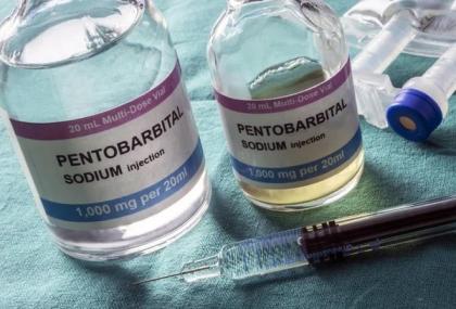 Nembutal, Nembutal online (50 gramm, 100ml, oder 50 Pillen) kaufen