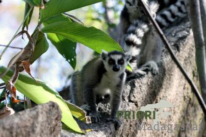 Madagaskar Frauenreise - Von und für Frauen 2021