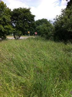 Immobilienofferte über ein vielseitig genutztes Objekt mit Baugrundstück