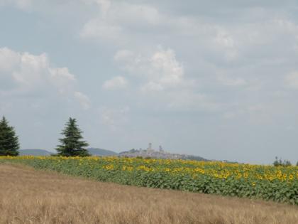 TOSKANA - Appartements mit Blick auf San Gimignano