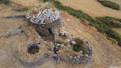 Sardinien, Weinberg, Land, 3 Ha, Existenz, Baugenehmigung, Auswandern, Selbstver