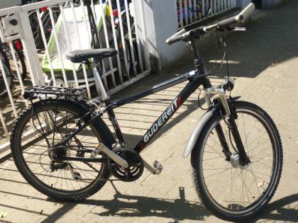 (245) 21 Gang 26 Zoll GUDEREIT Gabel gefedert Nabendynamo