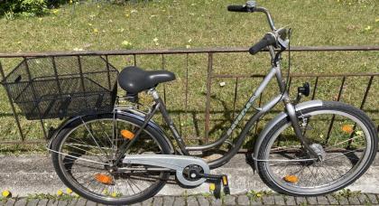 Fahrrad Stadtfahrrad Damenfahrrad Bavaria Line Lizzard für Damen, 26 Zoll, Naben