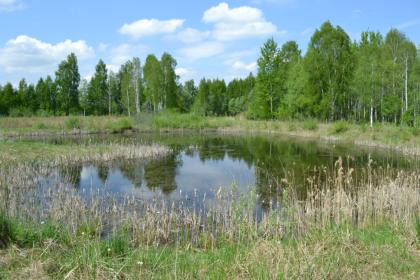 Grundverkauf in Litauen
