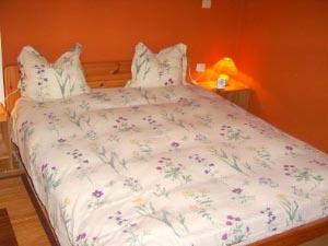 Urlaub auf Teneriffa im Ferienhaus Casa Erika 2