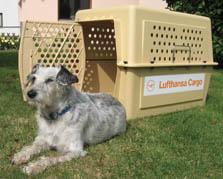 Flying Petbox- transport box rental!