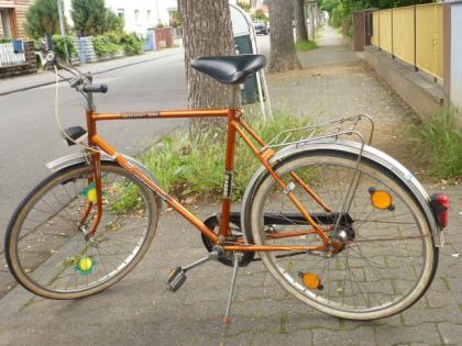 (13) 3 Gang Rücktrittsbremse LUXUS SPORT 2021 26 Zoll Rh 56
