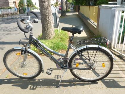 (44) 21 Gang 26 Zoll Rh 46 mit Nabendynamo Gabel gefedert CANOGA