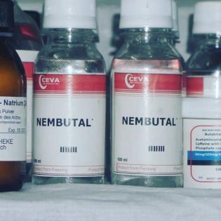 Nembutal, Natrium Pentobarbital (15 gramm, 100ml, oder 50 Pillen) kaufen deutsch