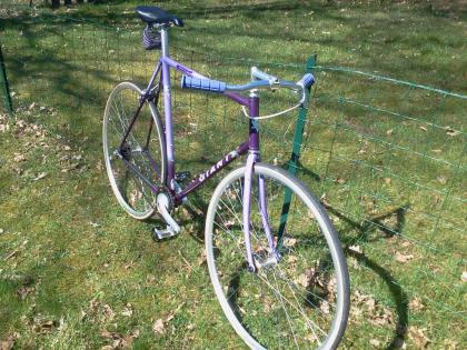 Giant Singlespeed