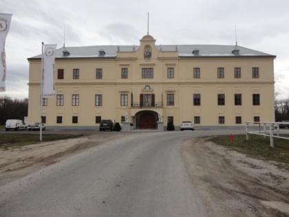 Wohneinheit im Schloss Hubertendorf günstig zu vermieten