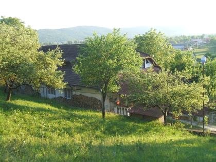 Firmen geeignetes Wohnhaus 250 qm Grundfläche, in Rumänien zu verkaufen.