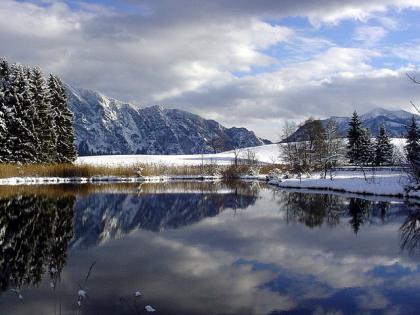 Ferienwohnung am Attersee -  