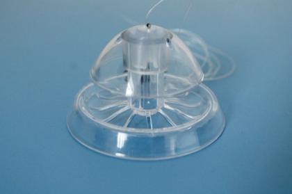 Die Schneckenfalle für das Aquarium gegen lästige Schneckenplagen - Posthornschn