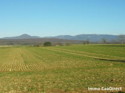 Farm, renoviert, mit 3.000 m² Land in den Vogesen