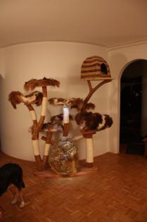 Http://www.magiccats.de