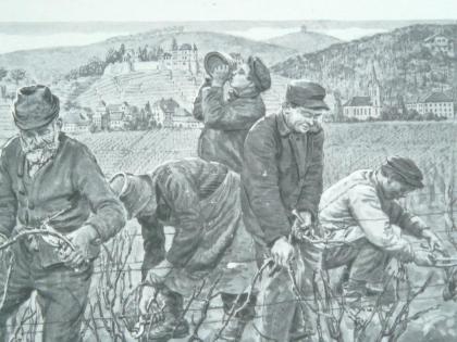 Strieffler Heinrich Rebenschneiden Grafik (B068)