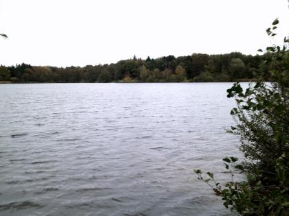 Angelgewässer Woldsee Bilder von Angel.Blog. Zwischen Weser und Ems