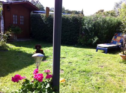 Sommer / Haus am See, Campingplatz in F, privater Seezugang