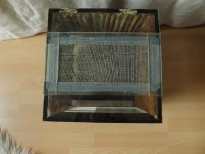 20- 25 Terrarien Abzugeben