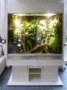 Regenwaldterrarium für Chamäleons (unser Typ R03)