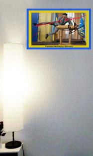 Ukraine Präsident Wolodymyr Zelenskyi. Signiertes Wandbild. Souvenir. Geschenkid