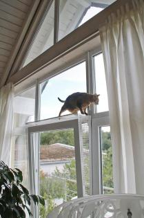 Kippfensterschutz Balkontür für Katzen, Ohne Bohren ohne Kleben
