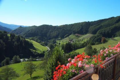 Ferienhaus Müllerbauernhof im Schwarzwald