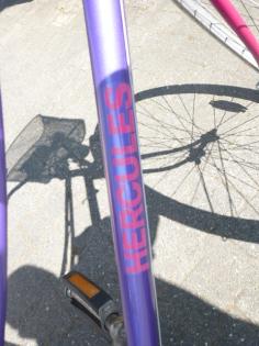 (124) 5 Gang HERCULES 28 Zoll Rh 53 mit Rücktrittsbremse