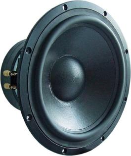 Visaton TIW 300 Tieftöner  *8 OHM* Top Zustand + neuwertig+OVP *2Stück* Top Schn