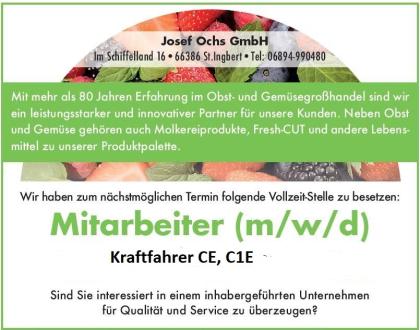 Kraftfahrer CE, C1E mit Module 95