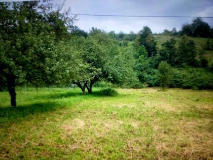 8300m² Bauland in Polen, Niederschlesien, für Anleger oder Privat. Ferien -Wohnu