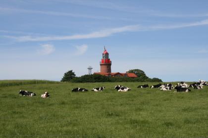 Schlossferienwohnung nahe der Ostsee