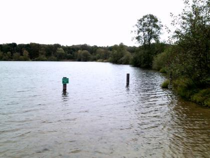 Angelgewässer Woldsee Bilder von Angel.Blog. Zwischen Weser und Ems