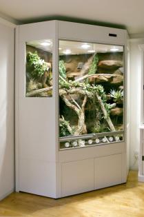Aqua-Terrarium / Paludarium z.B: für Krokodilschwanzechsen