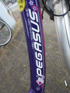 (6) 7 Gang 26 Zoll Rücktrittsbremse tiefer Einstieg Rh 38 Gabel gefedert