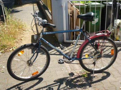  (6) 21 Gang 26 Zoll Rh 53 LONGUS mit Beleuchtung