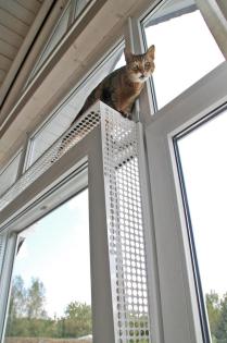 Kippfensterschutz für Katzen, OHNE BOHREN OHNE KLEBEN -System 4