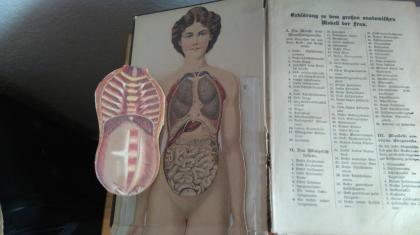 Ratgeber Gesundheit v.1930 !