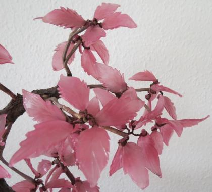 Kunst: Handarbeit Edle dekorative Pflanze aus Glas incl. Topf € 130, 00