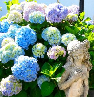 Italien Insel Ischia Attraktives Ferienappartement
