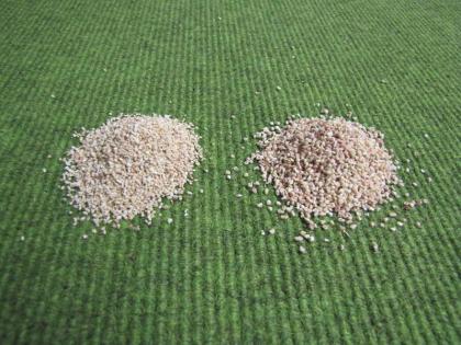 Fußwegreinigung / Pflanzliches Winterstreugranulat für empfindliche Flächen