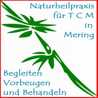 TCM - nicht nur Akupunktur