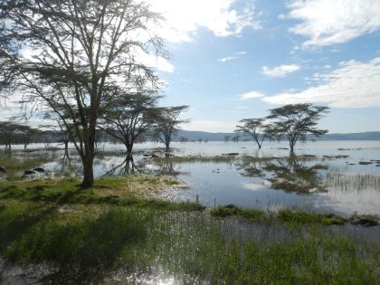 Kenia Safaris mit einem Jeep
