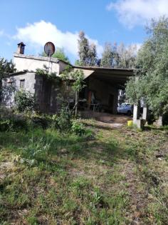 Sardinien, Weinberg, Land, 3 Ha, Existenz, Baugenehmigung, Auswandern, Selbstver