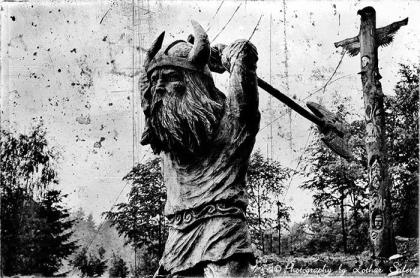 Die Wikinger